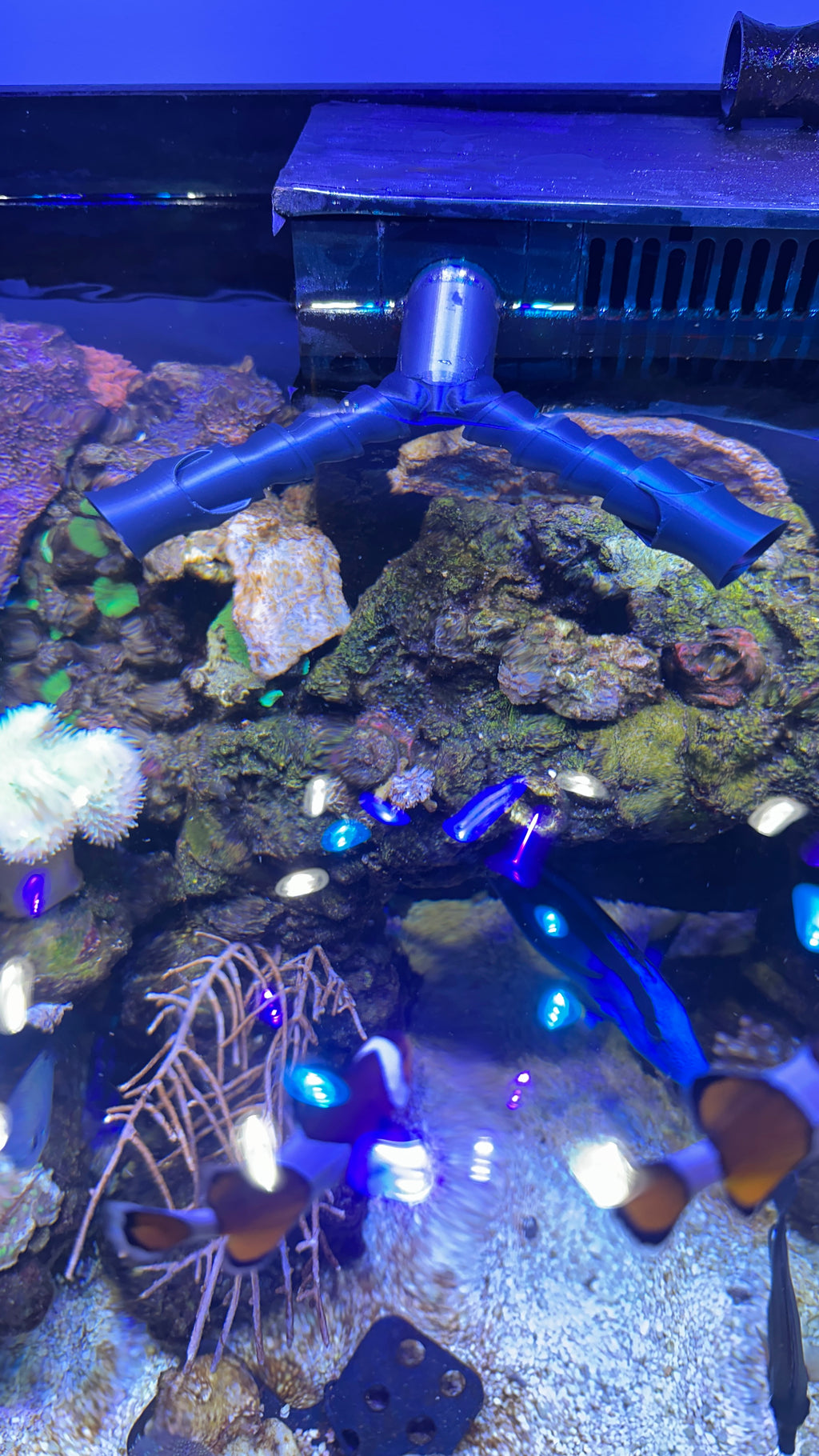 Buse de refoulement double pour aquarium