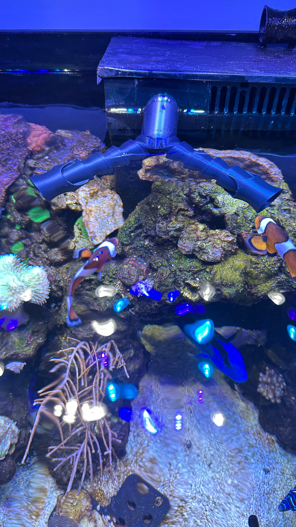 Buse de refoulement double pour aquarium